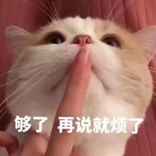 够了再说就烦了